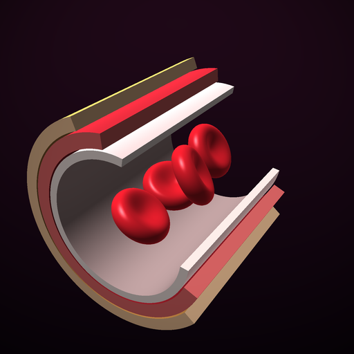 An artery cut open in its three wall layers, with red cells inside